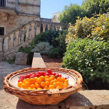 Vila Ostuni Monopoli