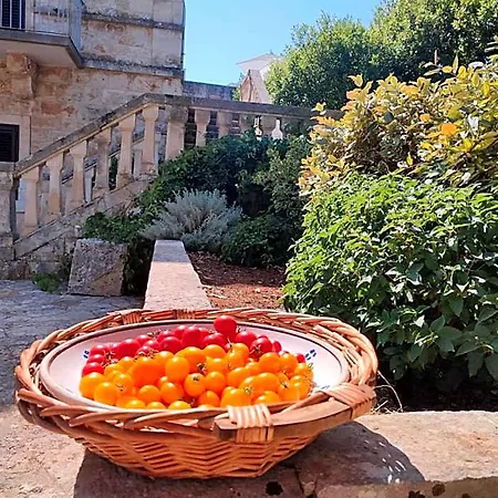 Villa Ostuni *